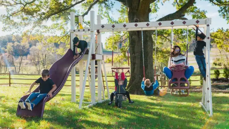 All-Swing-Sets_1.-Honey-Bear-Hangout-768x432-1.png Honey Bear Hangout Swing Set - Image 1