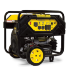 Champion Power Equipment 12000-Watt Portable Generator with Electric Start and Lift Hook